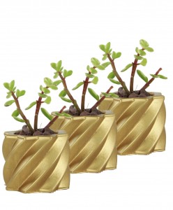 Mini Çiçek Saksı Küçük Sukulent Altın Kaktüs Saksısı 3'lü Set Kalın Çizgili Yıldız Model